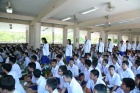Waikru 2013